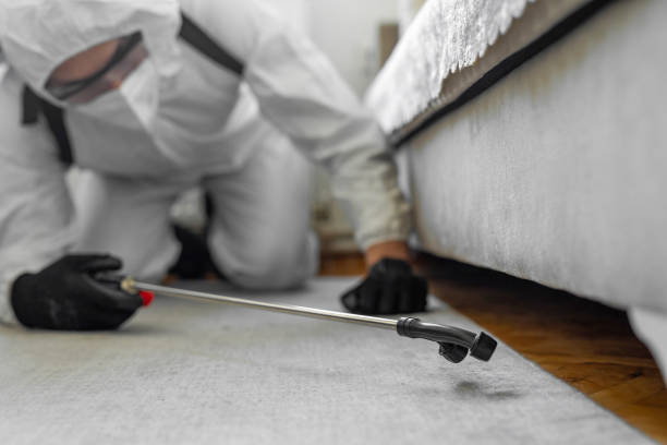 Professional Bed Bug Control technician working in Kenbridge, VA